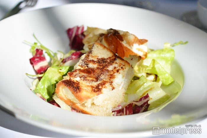 パルメンハウス（C）ビューティーガール