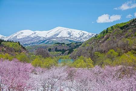 「山形県」