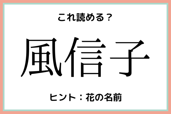 風信子 かぜのぶこ 意外と読めない 難読漢字 4選 モデルプレス 風信子 かぜのぶこ 意外と読めない 難読漢字 4選 モデルプレス