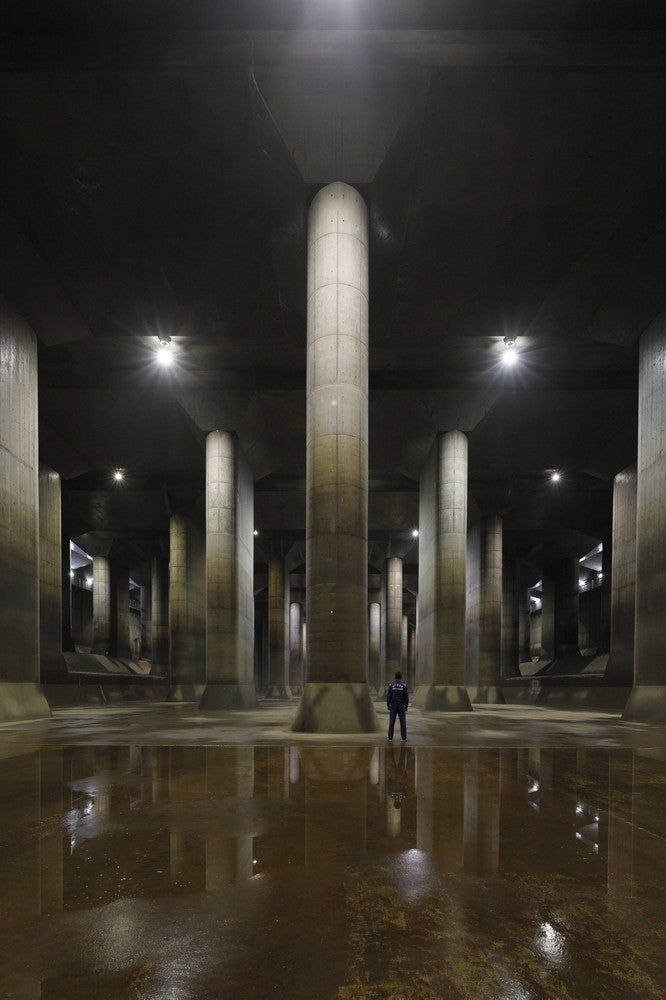 人間と比べると大きさも一目瞭然／画像提供：国土交通省江戸川河川事務所