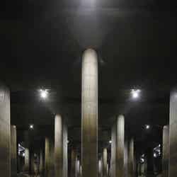 人間と比べると大きさも一目瞭然/画像提供:国土交通省江戸川河川事務所