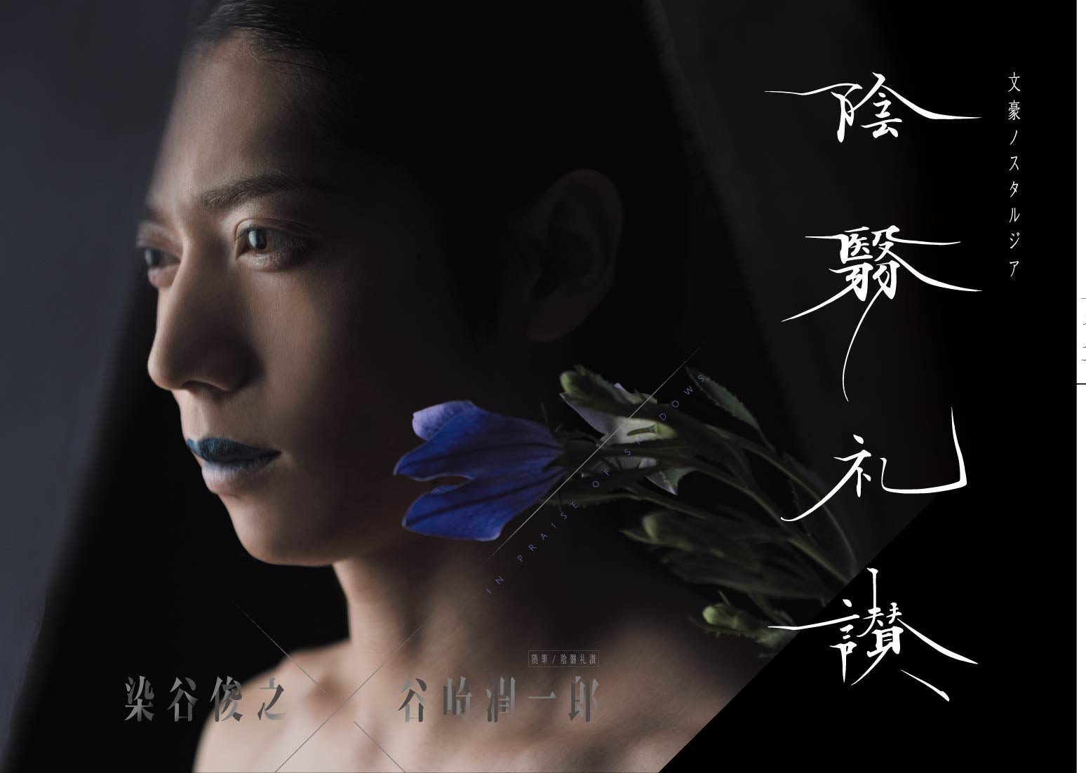 写真集「文豪ノスタルジア 染谷俊之ｘ谷崎潤一郎 陰翳礼讃」