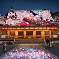 そうだ 京都、行こう。Presents NAKED meets 世界遺産 醍醐寺 —醍醐花見 ―/提供画像