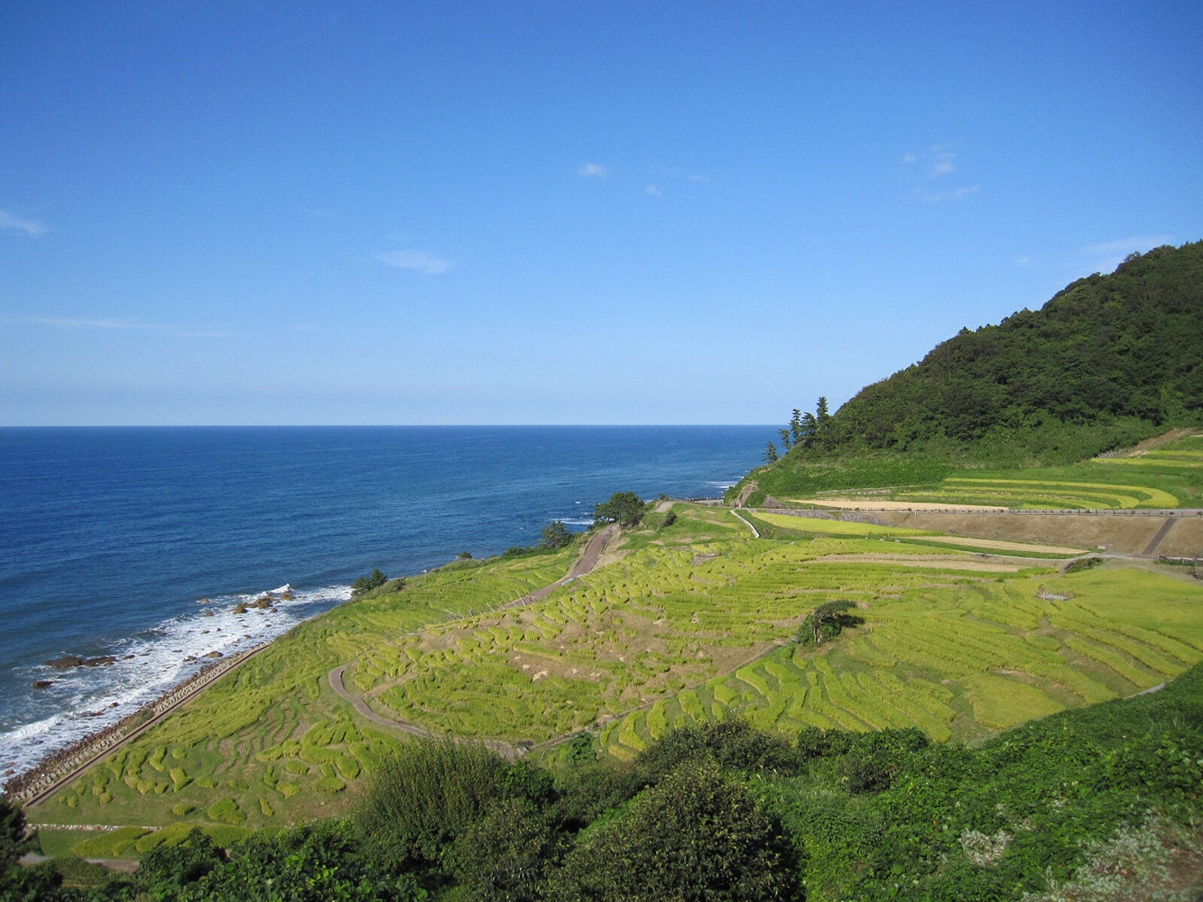 輪島・白米千枚田／画像提供：輪島市