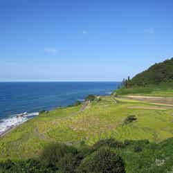 輪島・白米千枚田/画像提供:輪島市