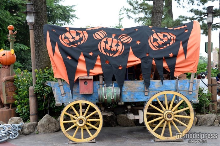 ウエスタンランドの装飾(TDL)