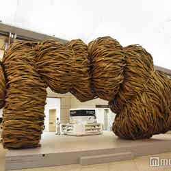 『善と悪の境界はひどく縮れている』(ジョコ・アヴィアント、2017)(C)モデルプレス