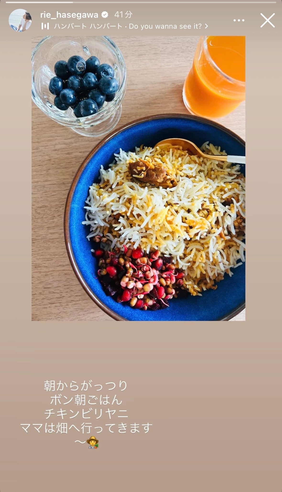長谷川理恵Instagramストーリーズより