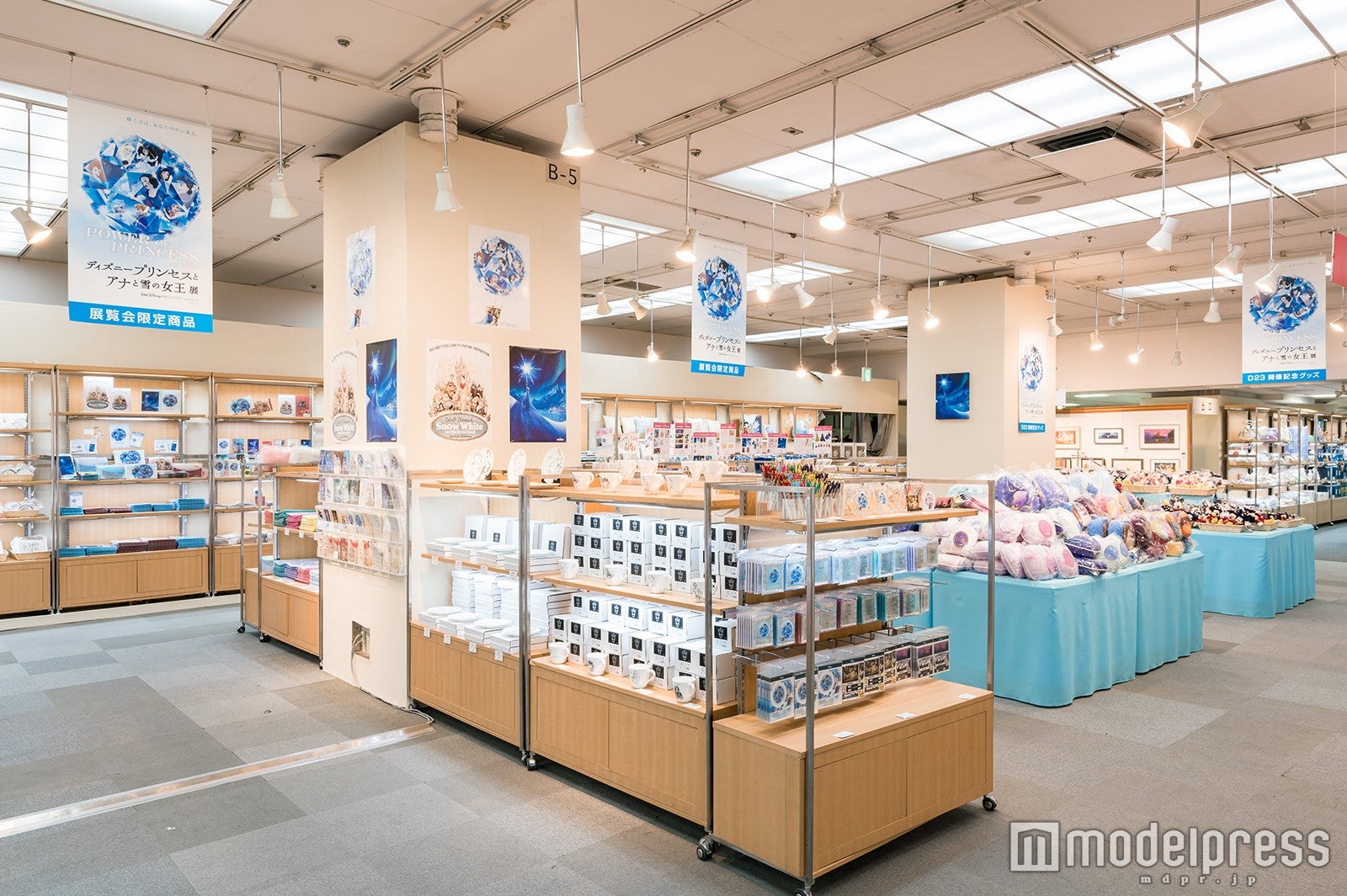 POWER OF PRINCESS「ディズニープリンセスとアナと雪の女王展」より（C）Disney