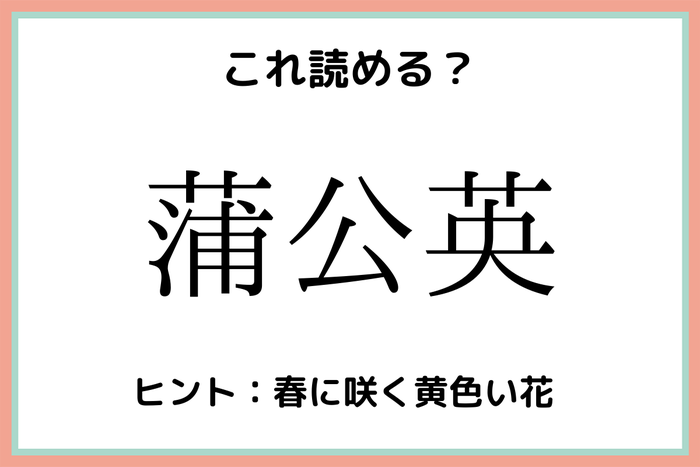 蒲公英 って何て読む 実はあの花 読めたらスゴイ 難読漢字 モデルプレス