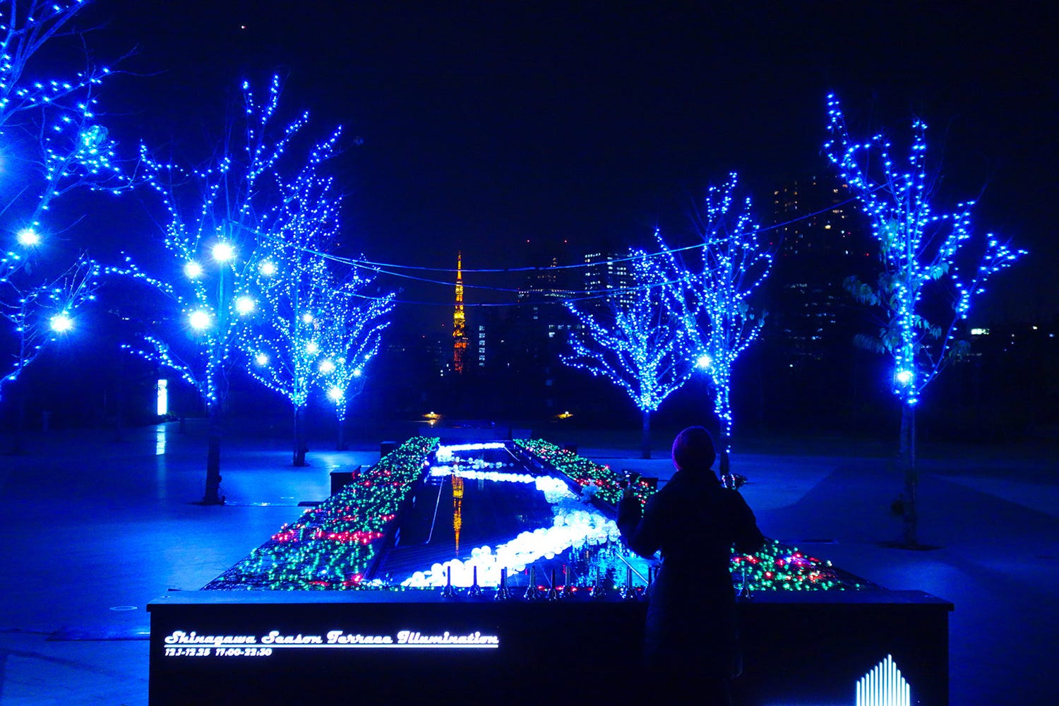 “動画映え”イルミが品川に登場 東京タワーをバックに色とりどりに煌めく