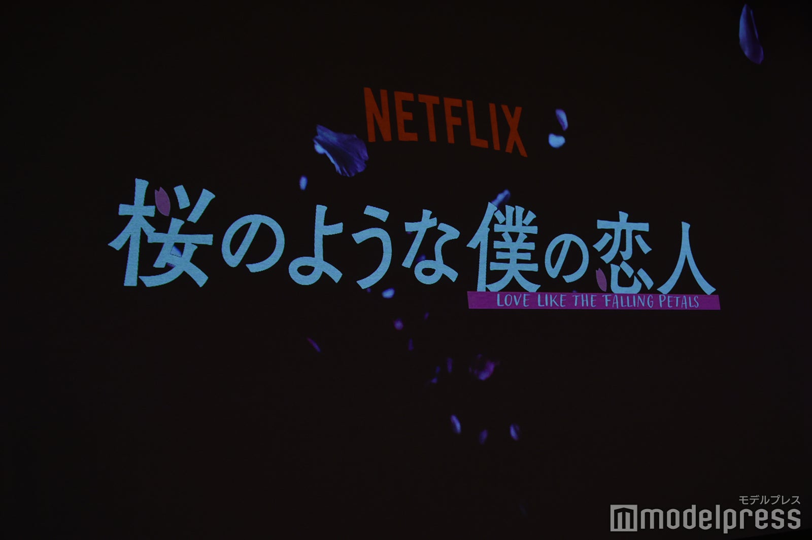 「桜のような僕の恋人」プレミアイベント （C）モデルプレス