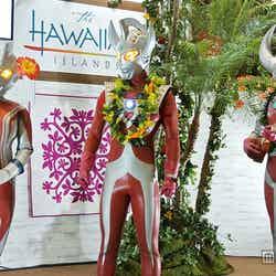 ウルトラマンファミリーが集合した「ハワイ政府観光局」ブース