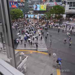 SHIBUYA TSUTAYA(C)モデルプレス