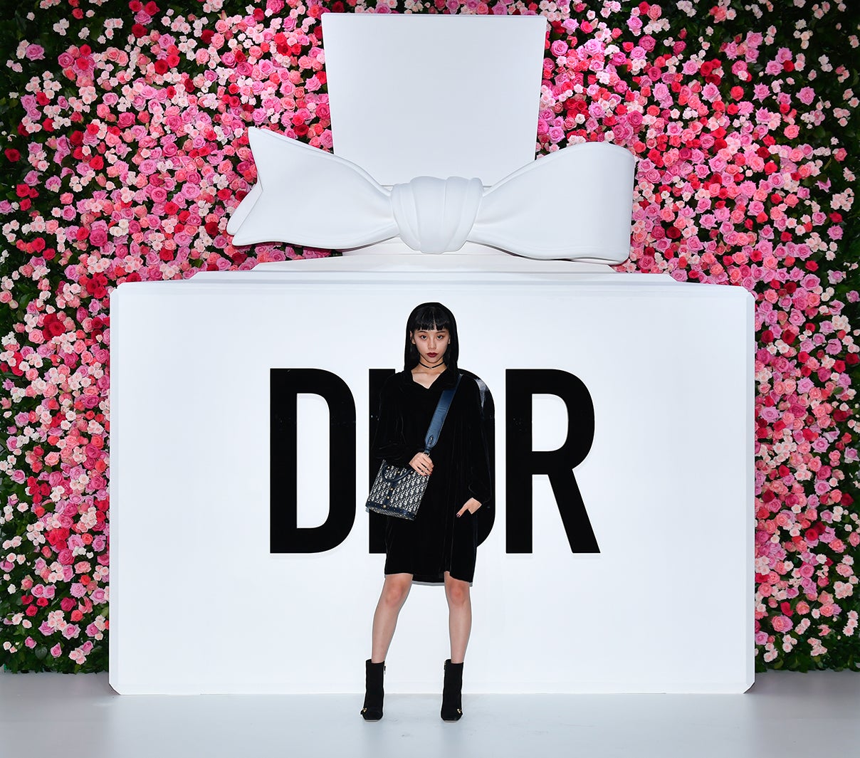 る鹿（提供画像）