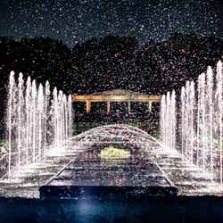 バブルミネーション/提供画像