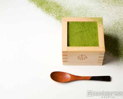 京都の枡で食べる抹茶ティラミスが新しい!行列の抹茶専門店「MACCHA HOUSE 抹茶館」