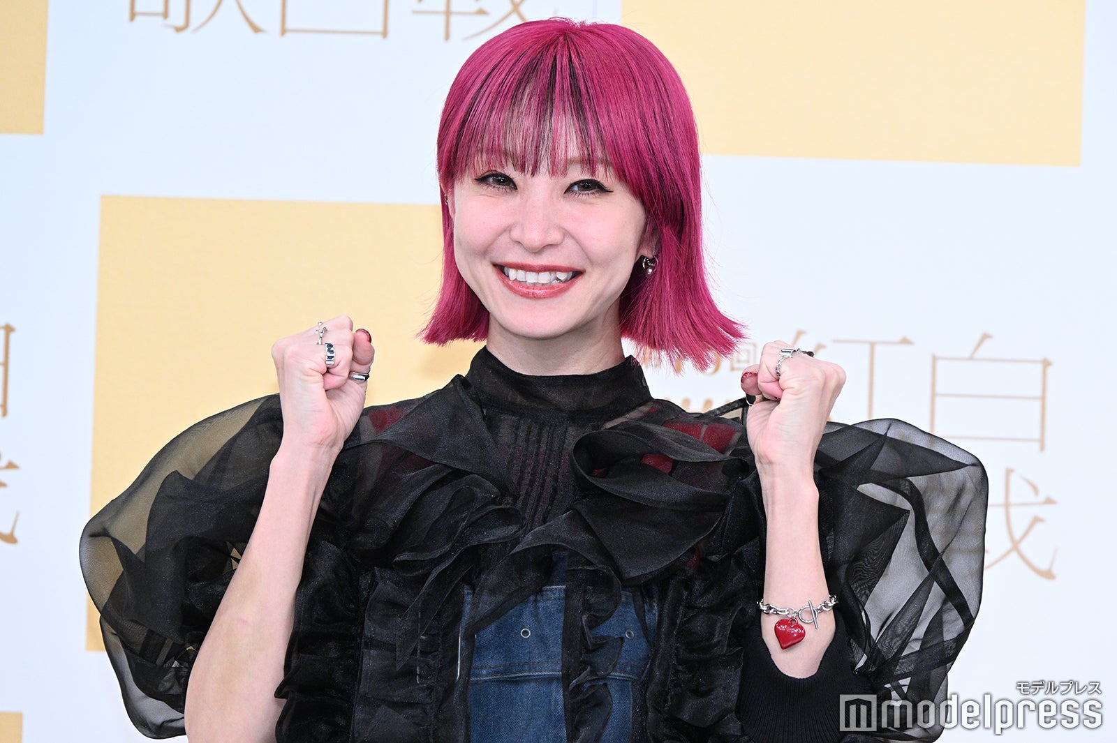 LiSA（C）モデルプレス