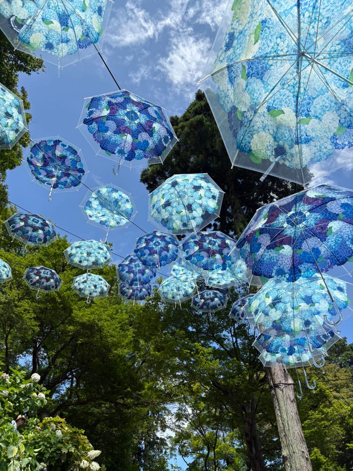 山下伶亜奈「私の最近のマイブーム」(提供写真)