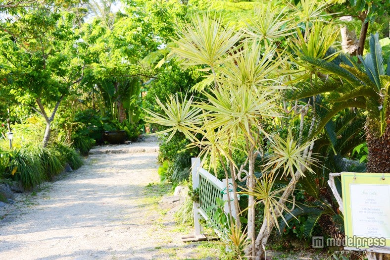 瀬底島近くの小道から入った場所にある