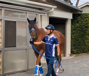 オークス馬ジュウリョクピエロが帰厩 「成長しました。いいところに筋肉がついてきました」と担当の佐々木助手 今村聖奈騎手とのコンビで牝馬2冠が懸かる秋華賞へ