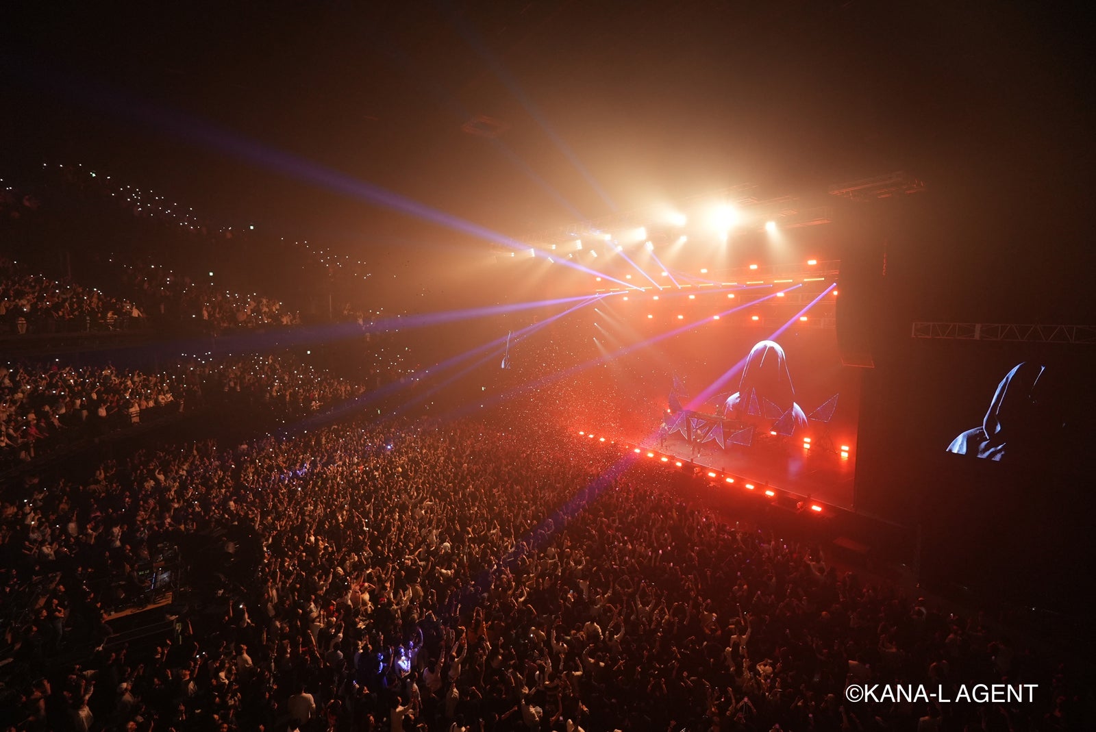 アラン・ウォーカー（提供素材）