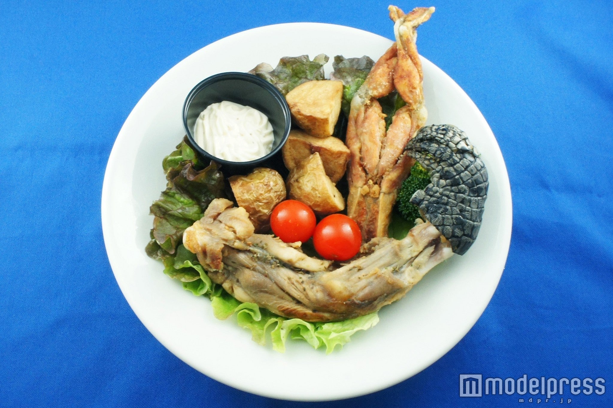 「ワイルド・ジャングルプレート」ドリンク付き1，200円（税込）※画像はイメージ／画像提供：セガ・ライブクリエイション