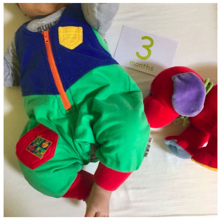 生後3ヶ月のリンクくん／ぺこオフィシャルブログ（Ameba）より