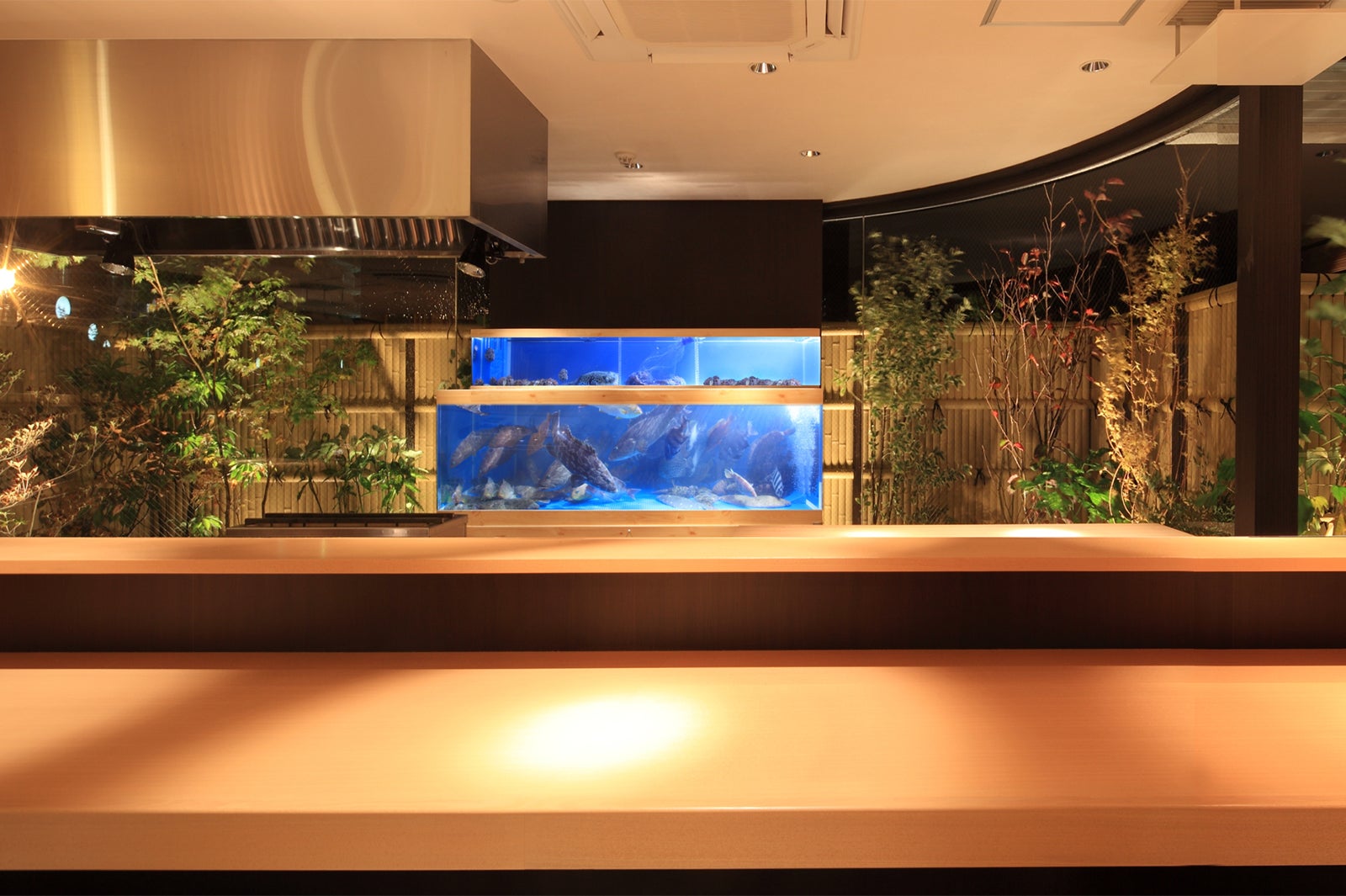 カウンターイメージ／画像提供：マリントピアリゾート