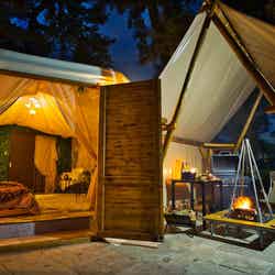 ウッドデザインパークいちのみや-紡-/画像提供:ウッドデザインパーク