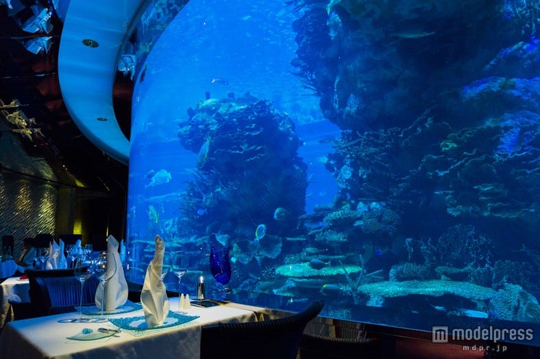 マーメイド気分になれるアクアリウムレストラン3選