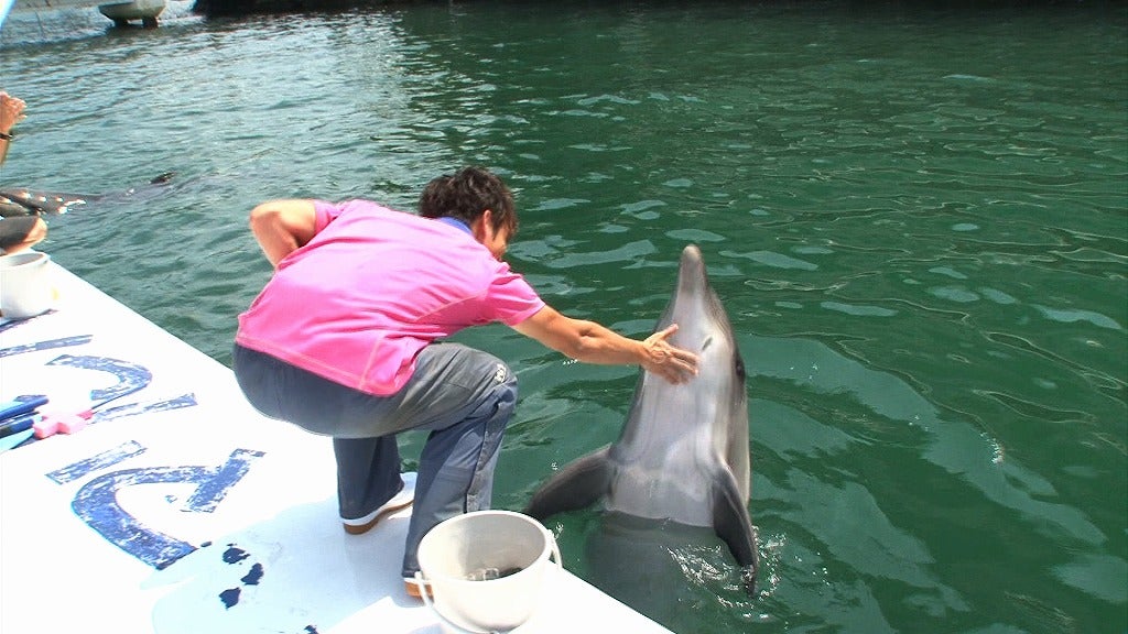 健一「恋んトス」シーズン6（C）TBS