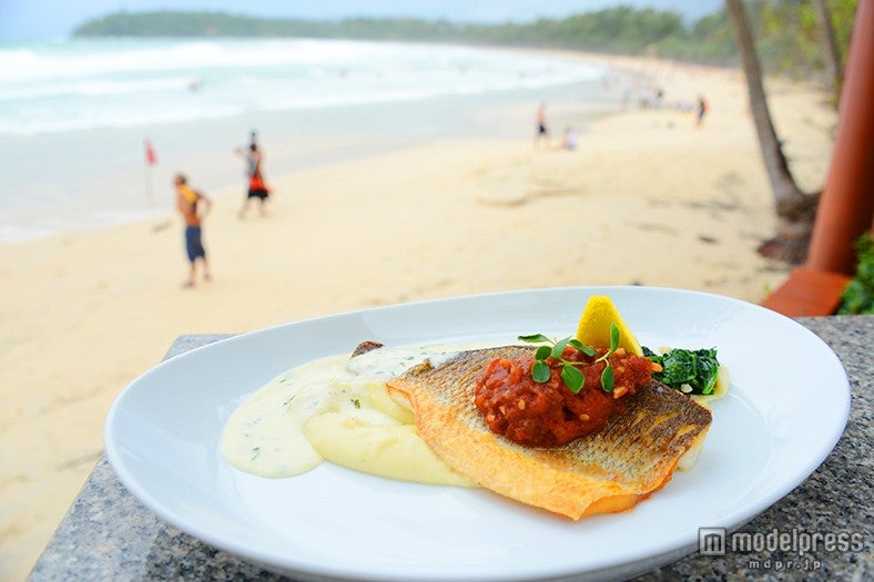 マッシュポテトとグリルフィッシュのソテー「Seared Seabass」800バーツ（約2，400円）【モデルプレス】