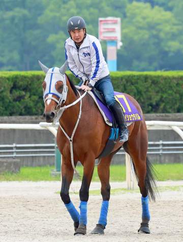 【宝塚記念】メイショウタバル 連覇あるぞ 今週も名手・武豊がV導く 全項目クリアのデータも後押し