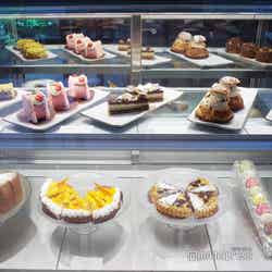 voco大阪セントラル(C)モデルプレス