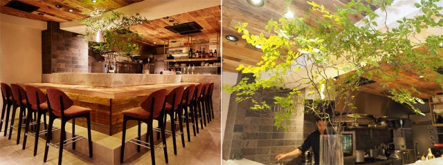 column_0533f1b532b2ce7cf55992a2ab57e4b5.