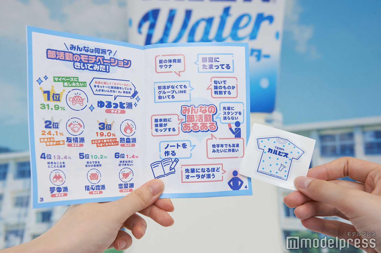 リーフレットの中身とシール（C）モデルプレス