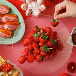 ストロベリー&チョコレートホリック スイーツブッフェ/提供素材