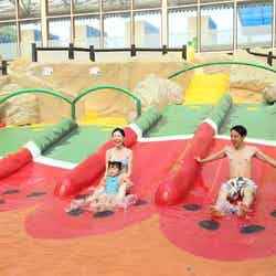 東京サマーランド(提供画像)