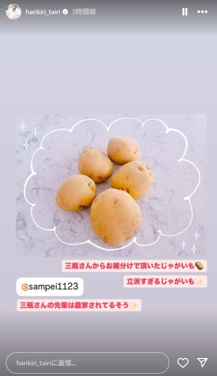 平愛梨Instagramストーリーズより