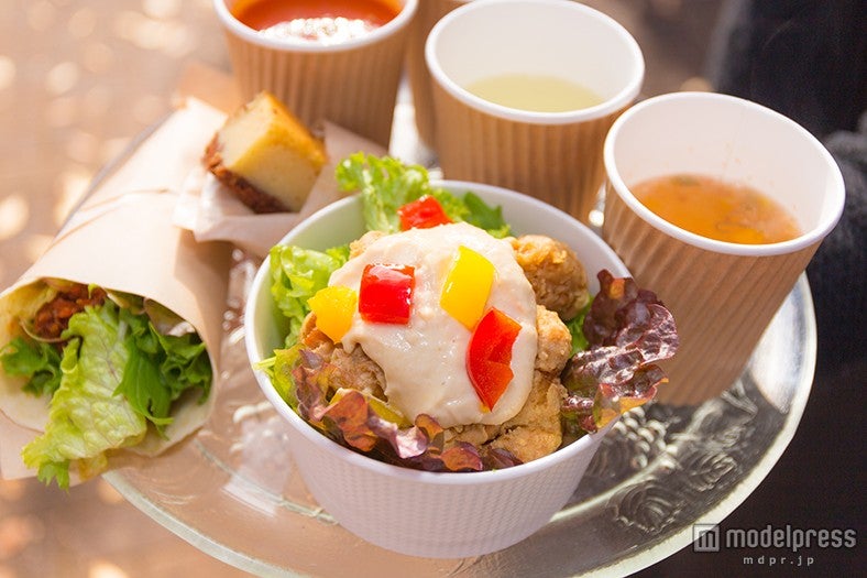 ヘルシーなベジフードで満腹に マクロビやローフード100店舗が“ベジフェス”に集結