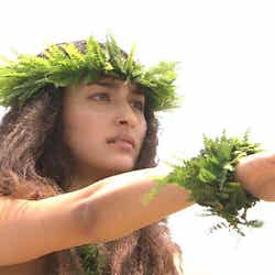 長谷川潤/NHKBSプレミアム「ハワイの魂にふれる~神々に捧げるフラ~」(C)NHK