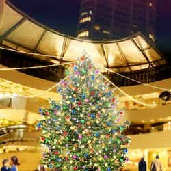2016年クリスマスツリーイメージ／画像提供：横浜ダイヤビルマネジメント