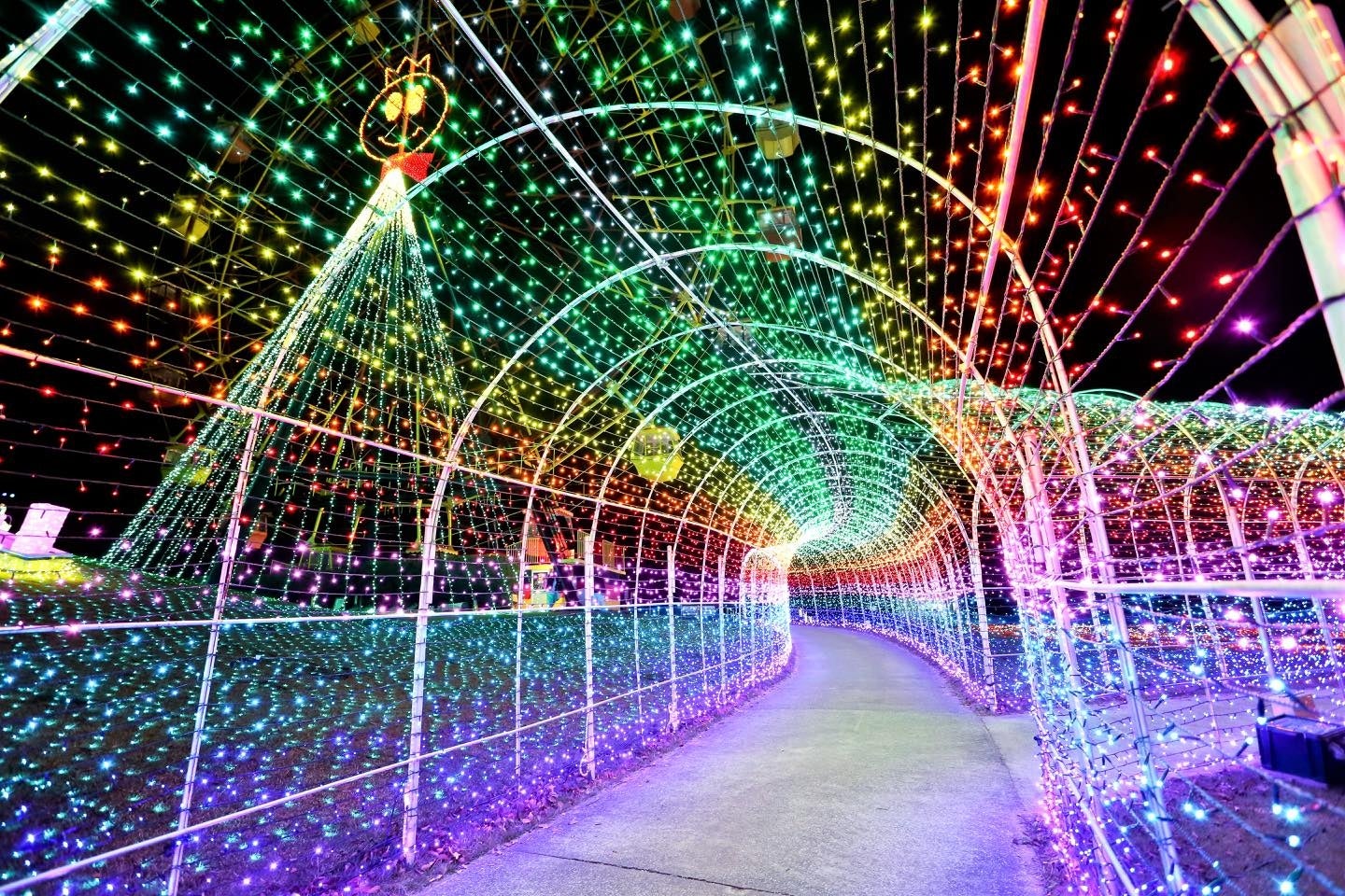 東京ドイツ村ウィンターイルミネーション／画像提供：ぴあ