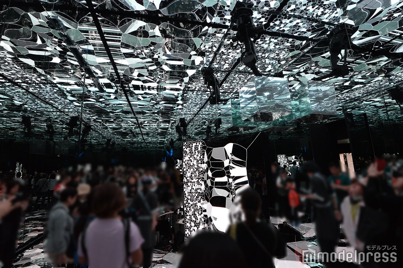 null2（C）モデルプレス