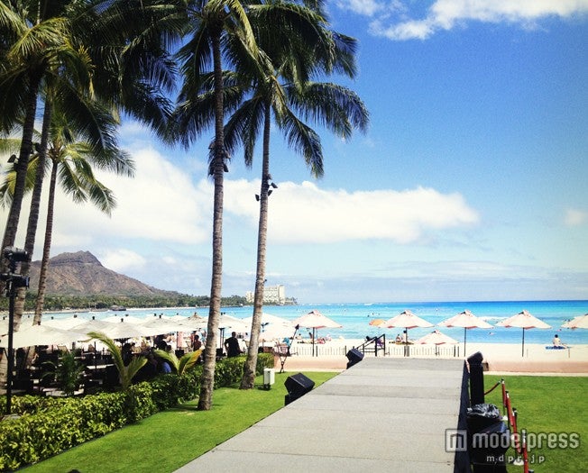 「Hawaiian May！2014」開催決定