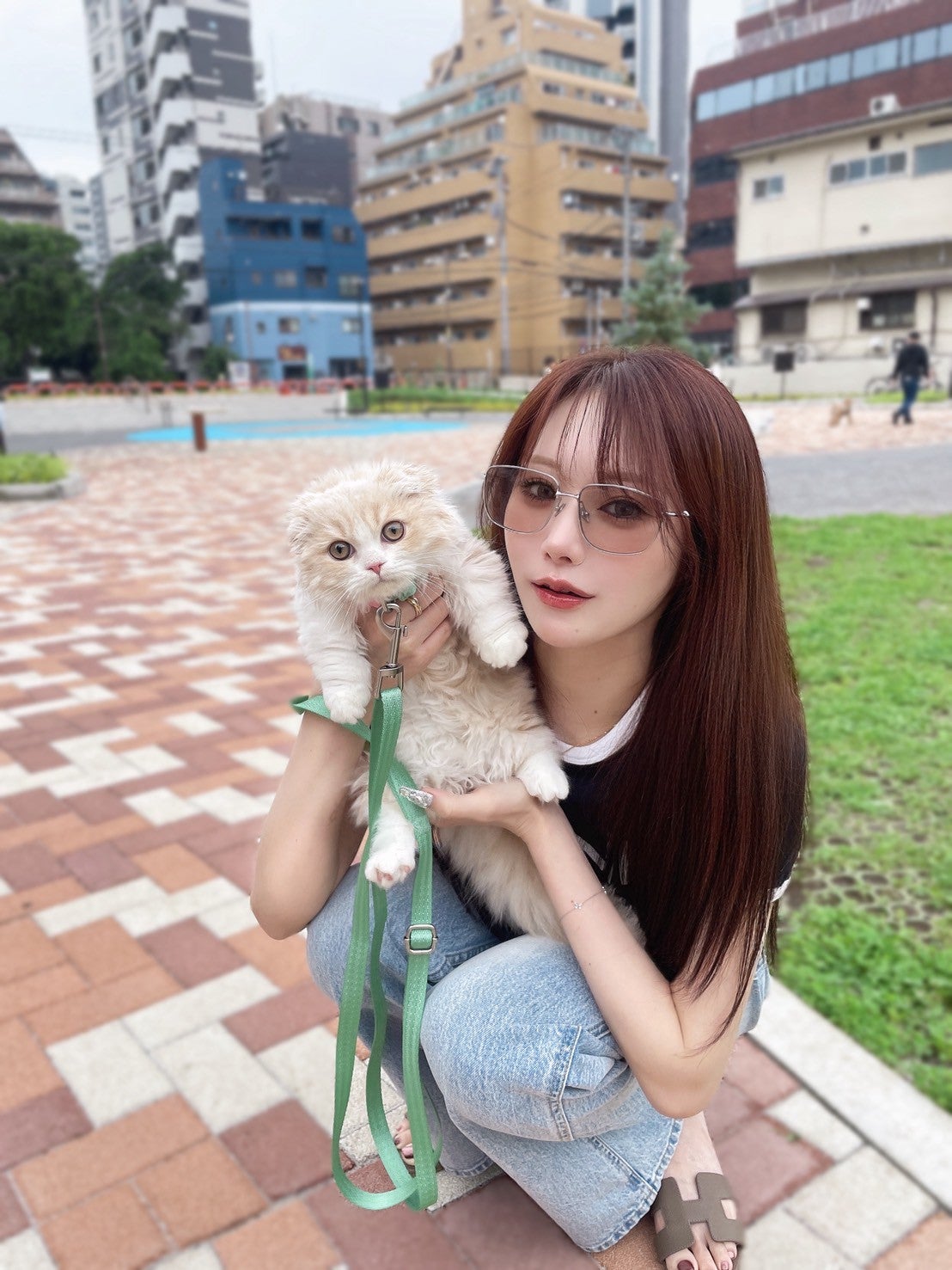 飼っている猫ちゃん（提供画像）