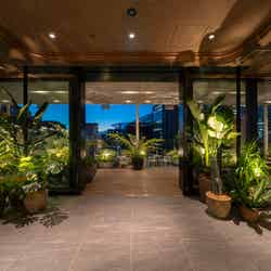 BEEF STEAK CLUB KIYO GINZA/提供画像