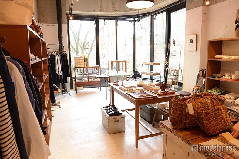 大きな窓から暖かい陽の光が差し込む