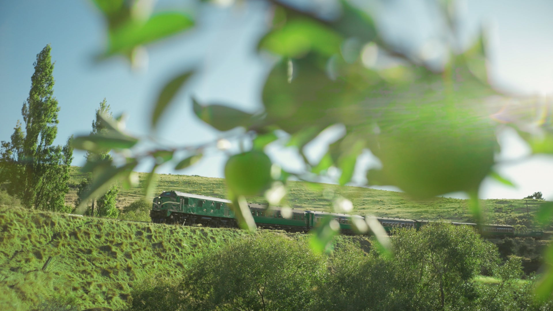 TVCM「GREEN JUKEBOX 始篇」より（提供写真）